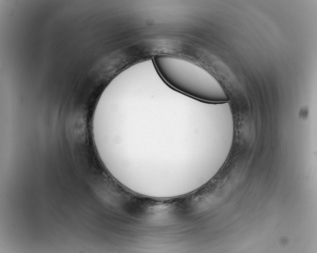 X0000103260312200809191725