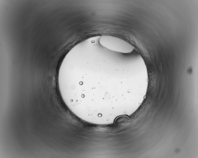 X0000103260313200809191725