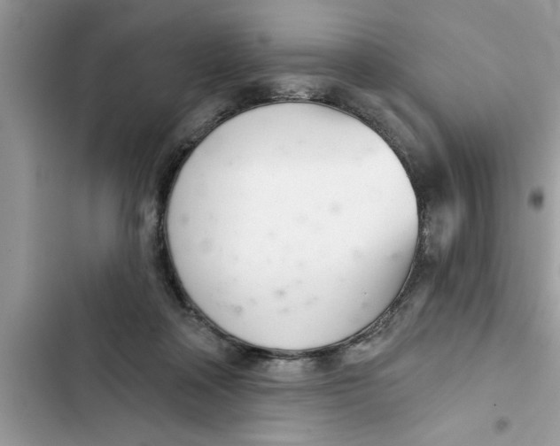 X0000103260314200809191725