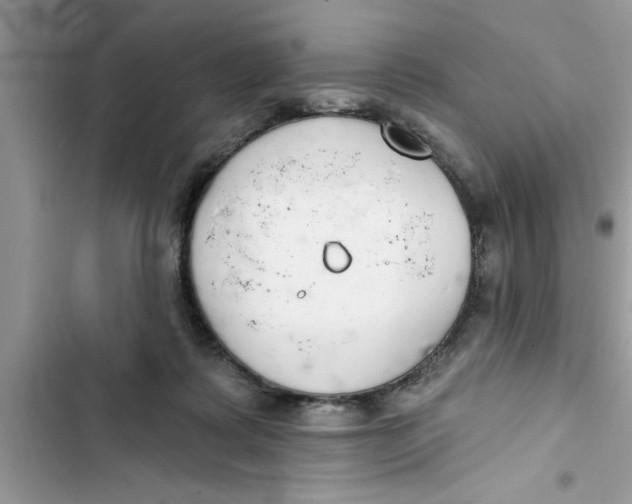 X0000103260315200809191724