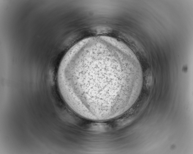 X0000103260316200809191724