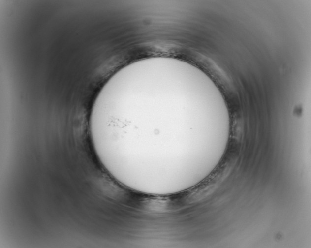 X0000103260318200809191724