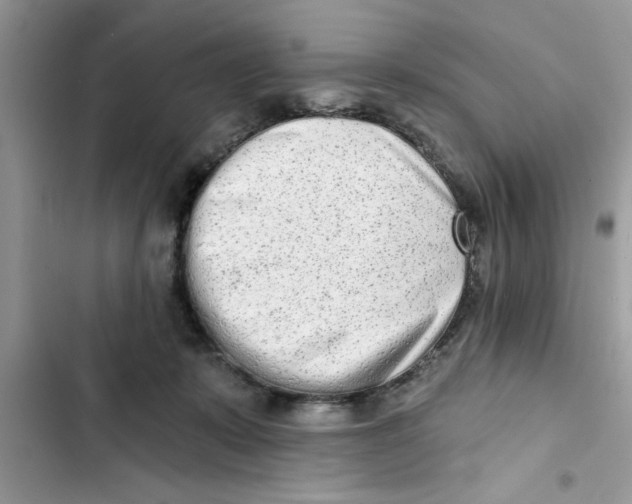 X0000103260319200809191724