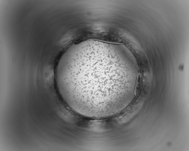 X0000103260320200809191724