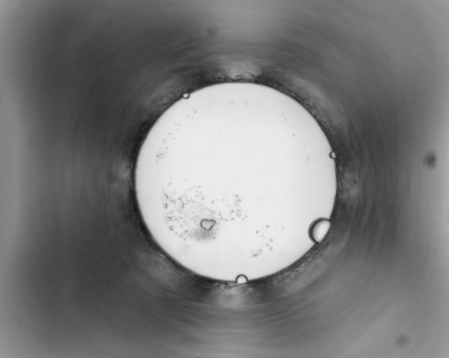 X0000103260321200809191724