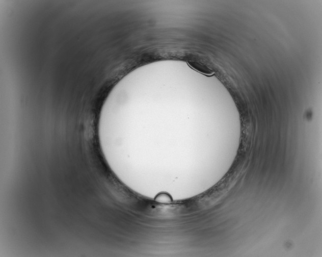 X0000103260323200809191724