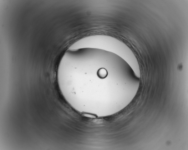 X0000103260324200809191724