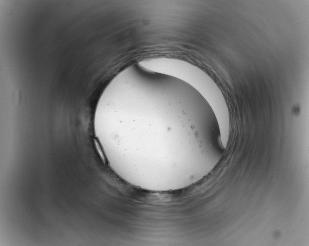 X0000103260328200809191724