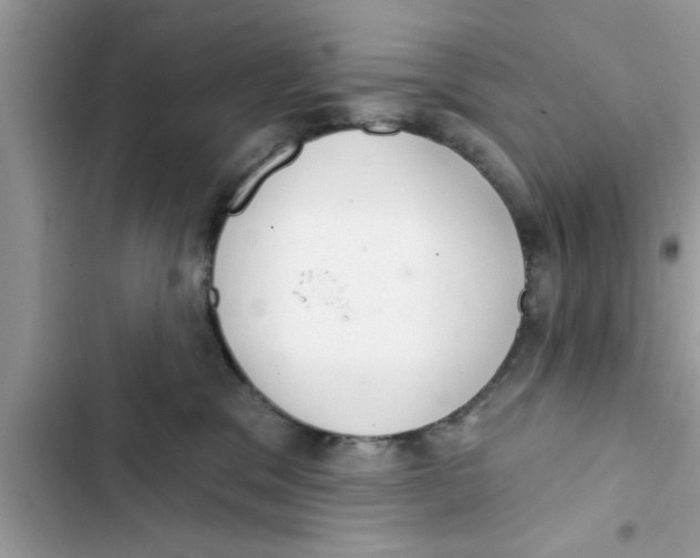 X0000103260329200809191724