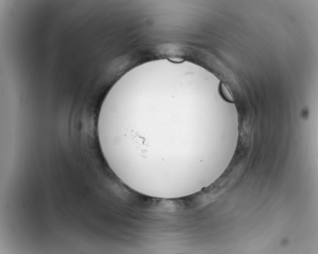 X0000103260330200809191724