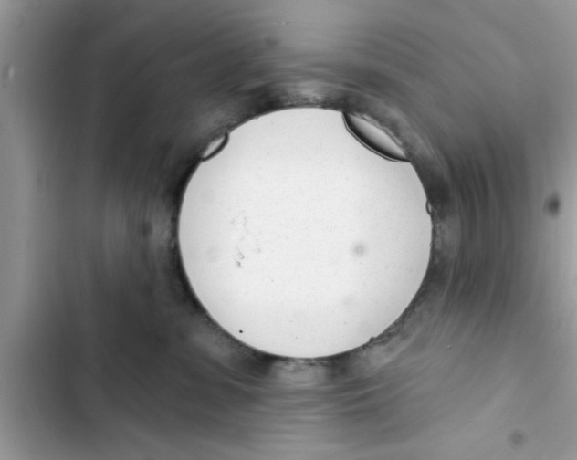 X0000103260331200809191724