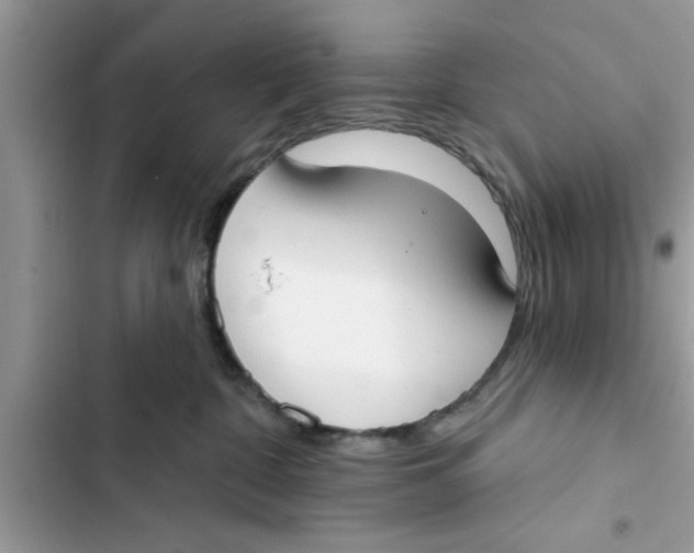 X0000103260332200809191724