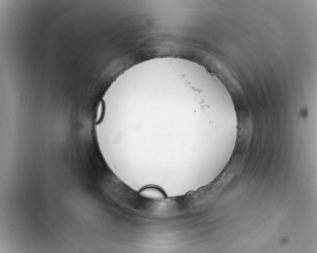 X0000103260333200809191724