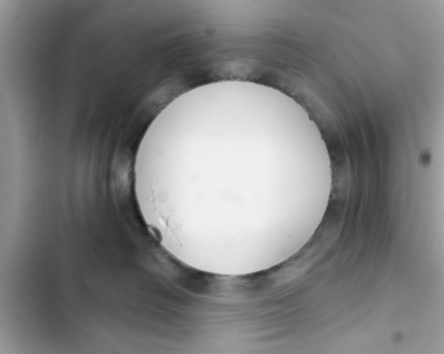 X0000103260334200809191724