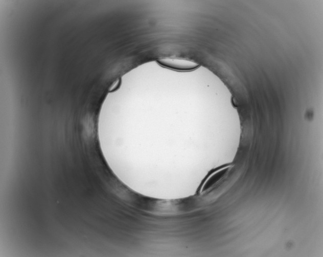 X0000103260335200809191724