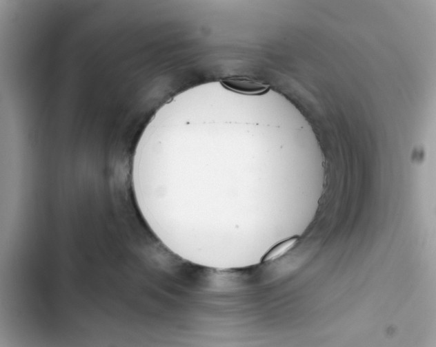 X0000103260336200809191724