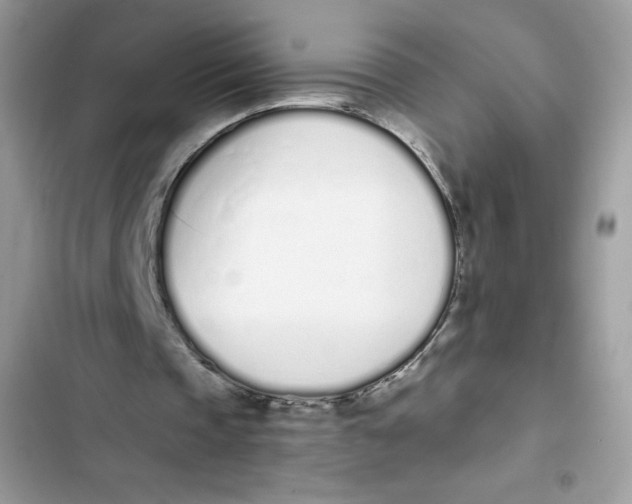 X0000103260337200809191724