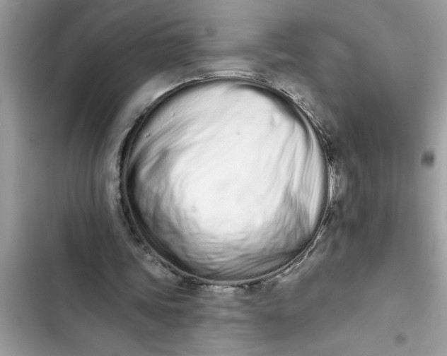 X0000103260339200809191724