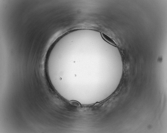 X0000103260340200809191724