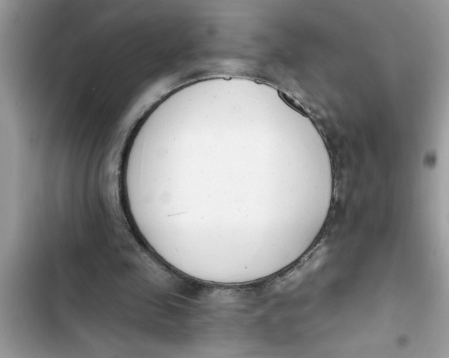 X0000103260341200809191724