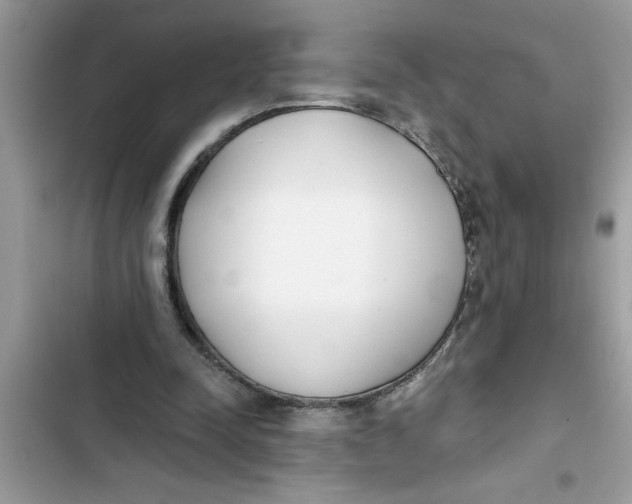 X0000103260342200809191724