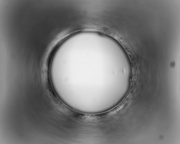 X0000103260343200809191724