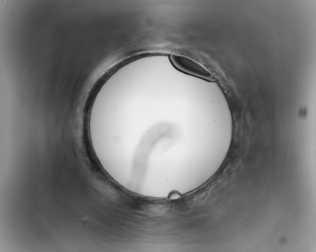 X0000103260344200809191724