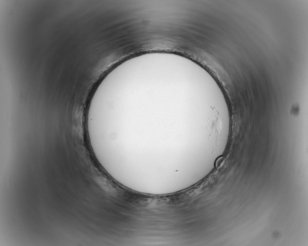 X0000103260345200809191724