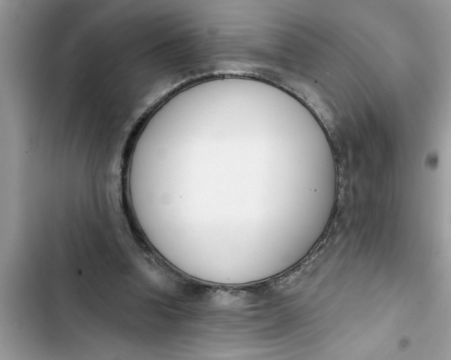 X0000103260346200809191724