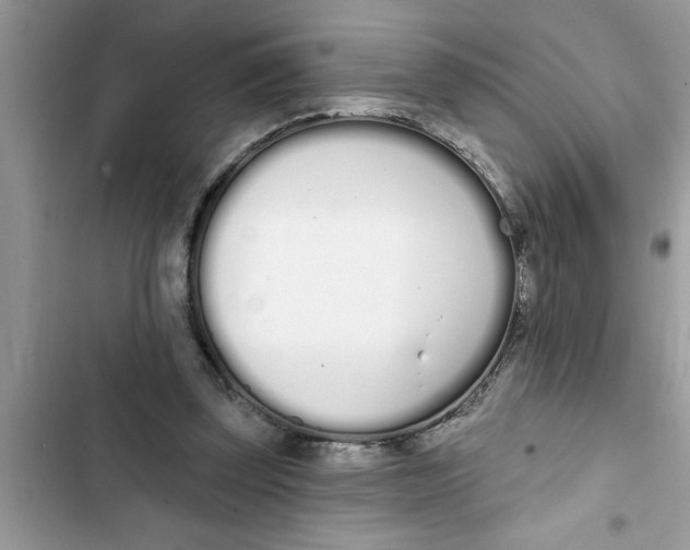 X0000103260347200809191724