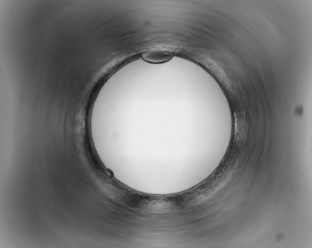 X0000103260348200809191724