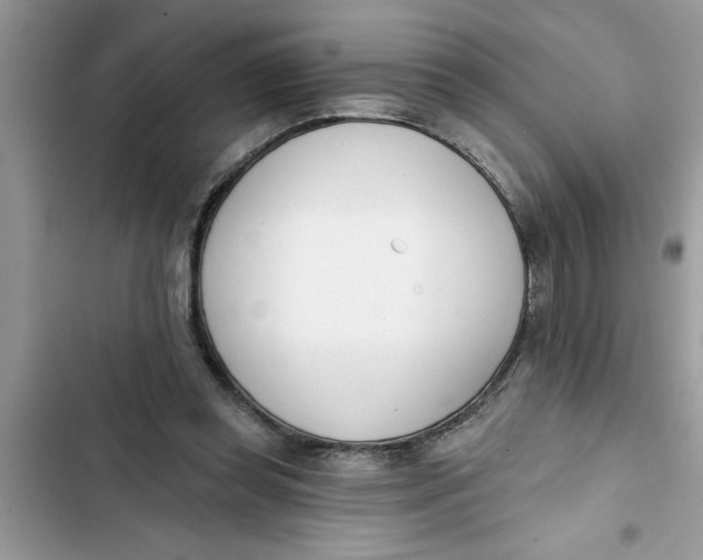 X0000103260349200809191724