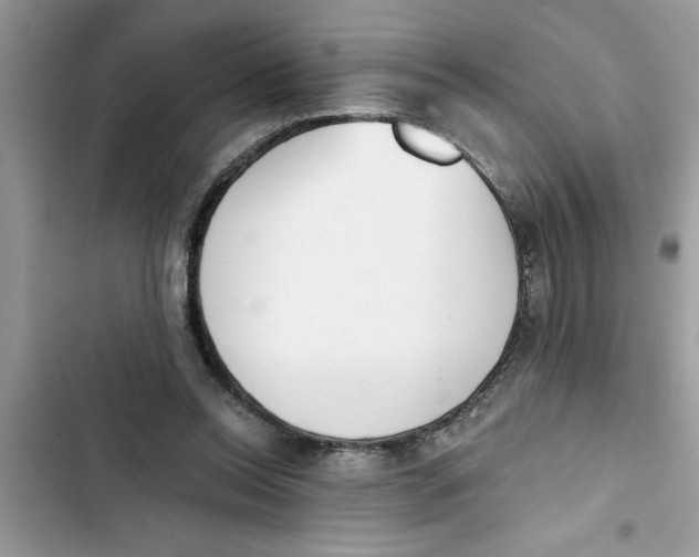 X0000103260350200809191724