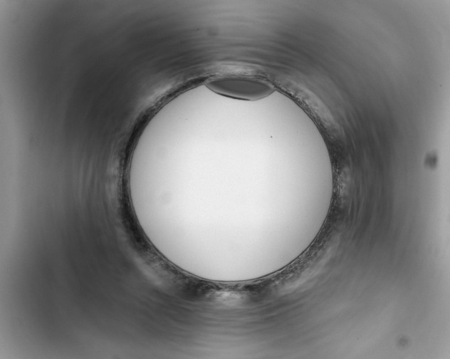 X0000103260352200809191724