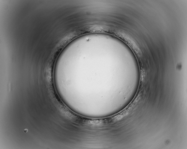 X0000103260353200809191724