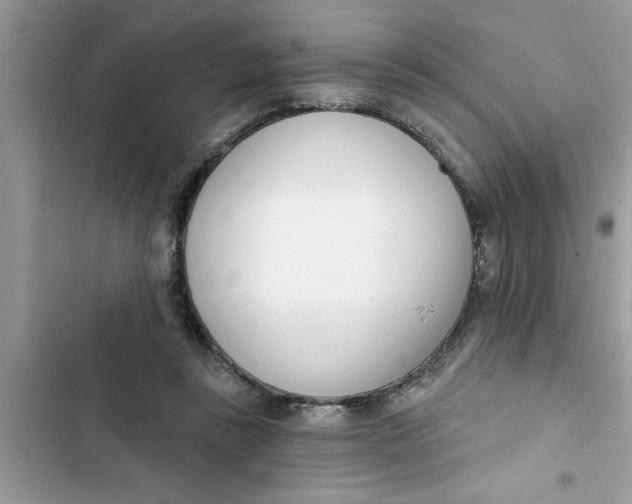 X0000103260355200809191724