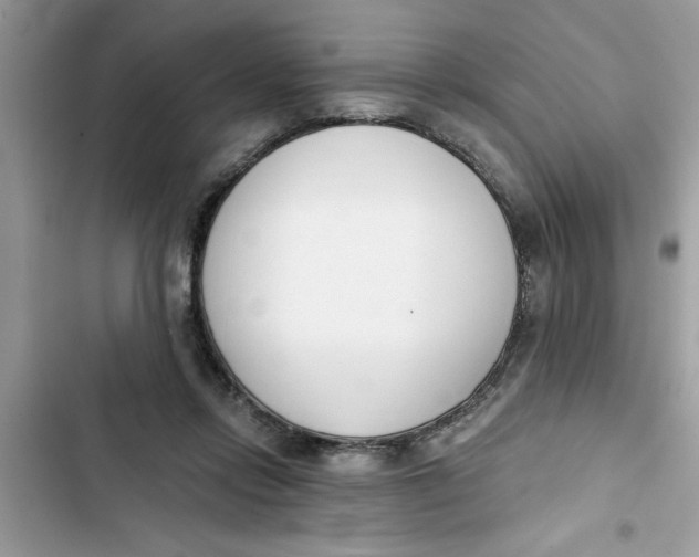 X0000103260358200809191724