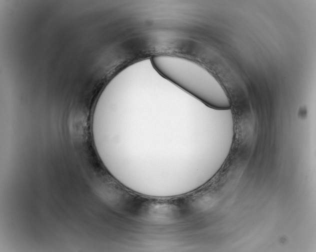 X0000103260360200809191724