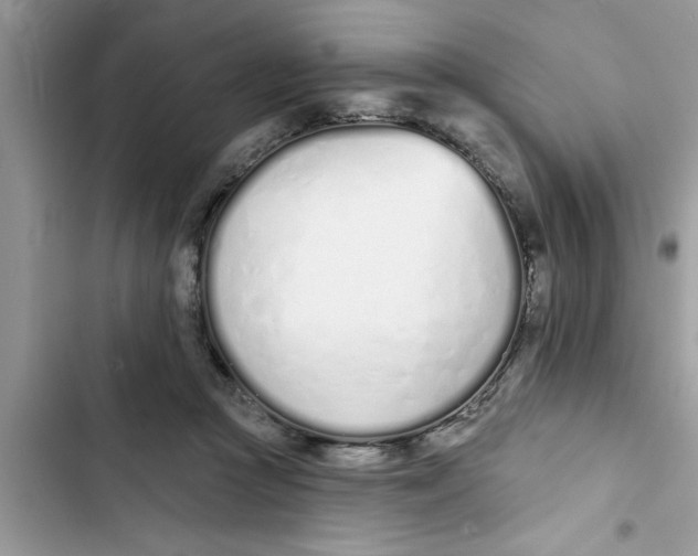 X0000103260361200809191724