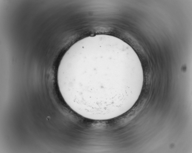 X0000103260362200809191724