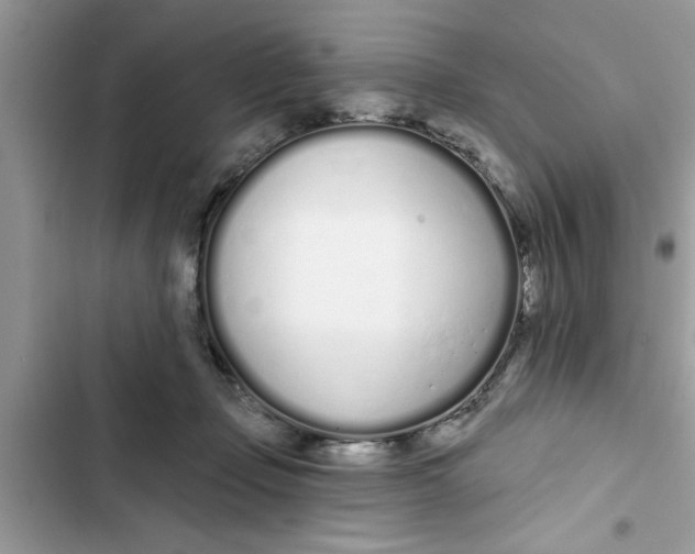 X0000103260365200809191724