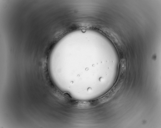 X0000103260369200809191724