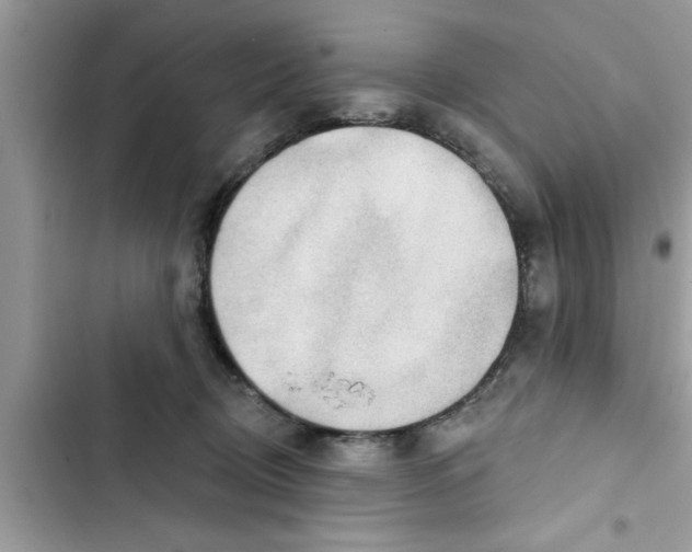 X0000103260370200809191724