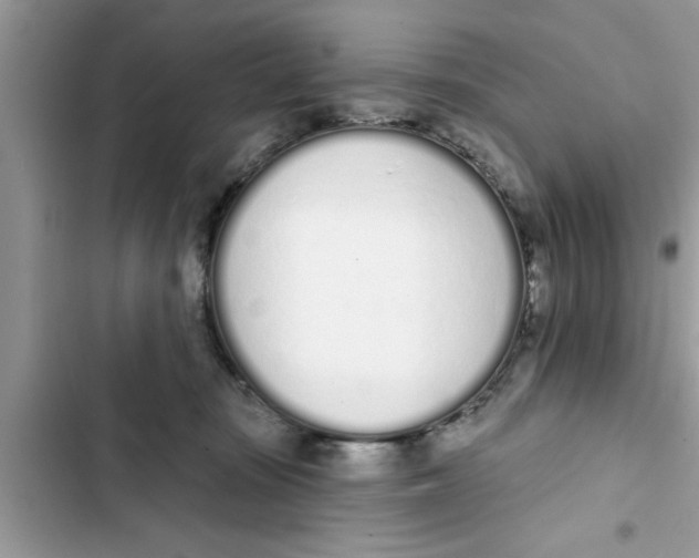 X0000103260371200809191724