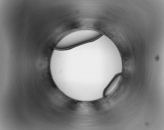 X0000103260372200809191724