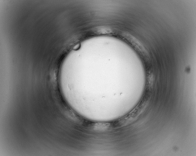 X0000103260373200809191724