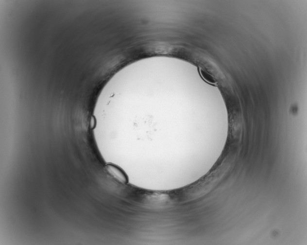 X0000103260374200809191724