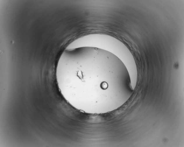 X0000103260376200809191724