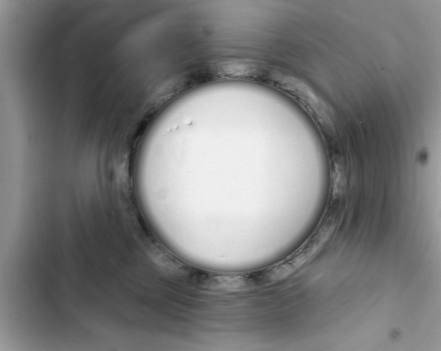 X0000103260377200809191724