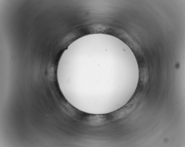 X0000103260378200809191724